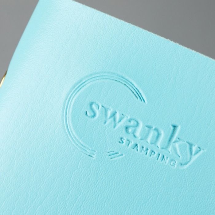 Кейс для пластин Swanky Stamping на 20 пластин, голубой
